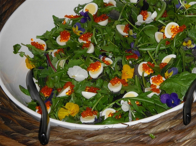 Wildkräutersalat mit Wachtelei und Forellengold – leichter Salat